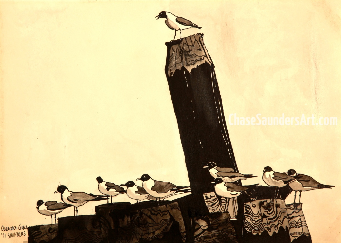 Ocracoke Gulls