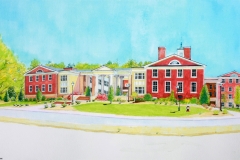 Institute of Government