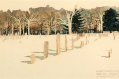 Distant Relatives in the Snow