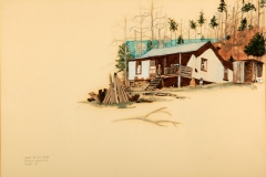 Cabin in a Cove